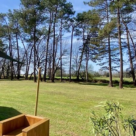 Appartement Gite La Lande En Pays Basque à Came Extérieur photo