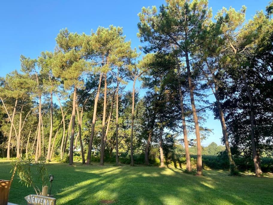 Appartement Gite La Lande En Pays Basque à Came Extérieur photo