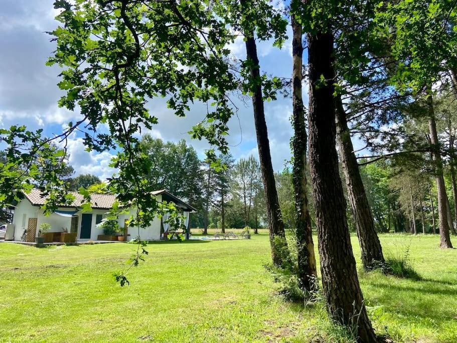 Appartement Gite La Lande En Pays Basque à Came Extérieur photo