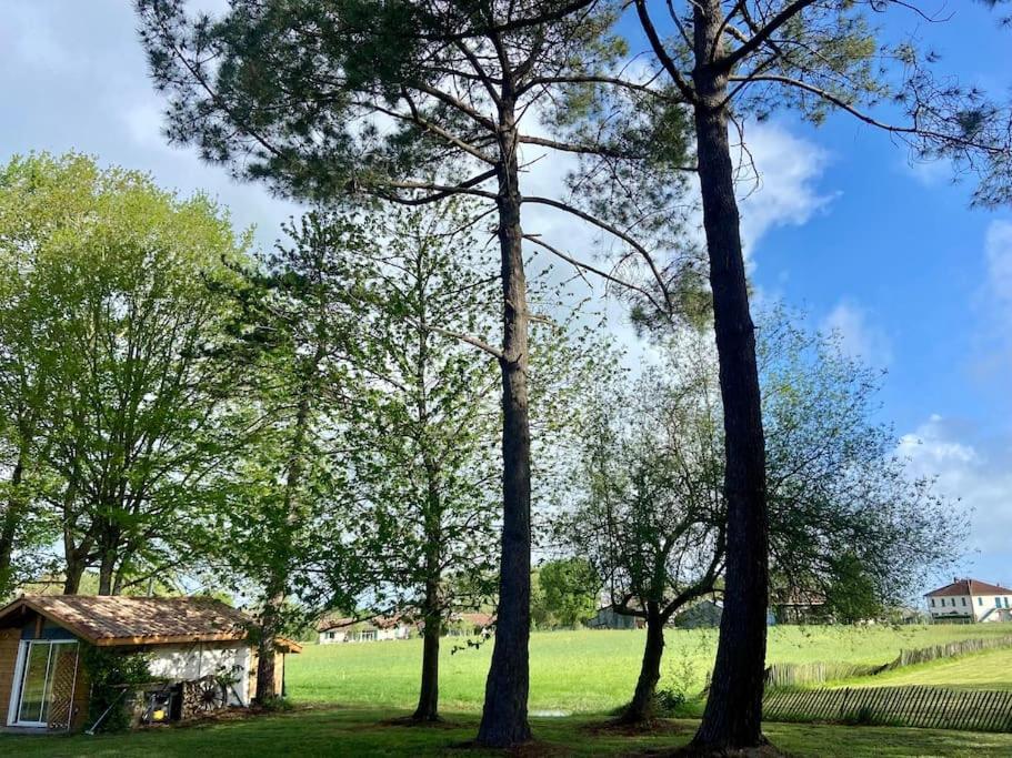 Appartement Gite La Lande En Pays Basque à Came Extérieur photo