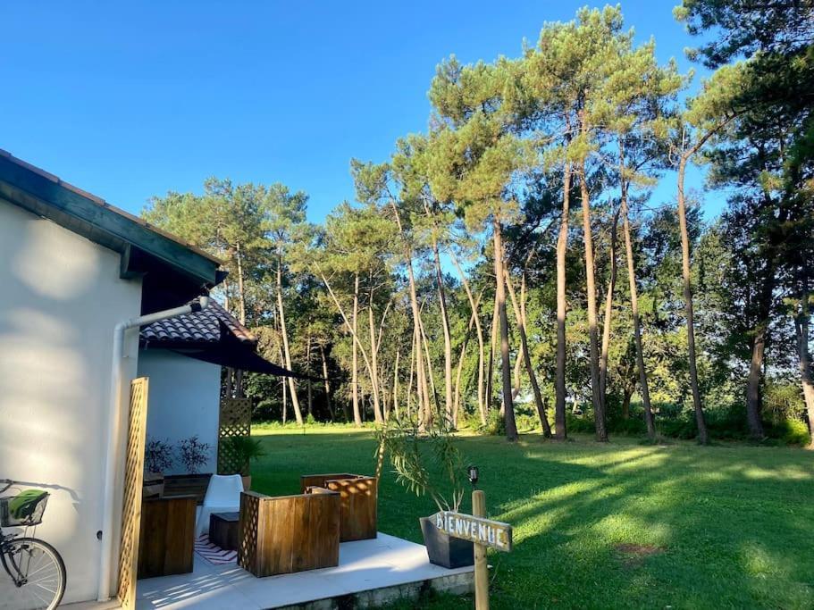 Appartement Gite La Lande En Pays Basque à Came Extérieur photo